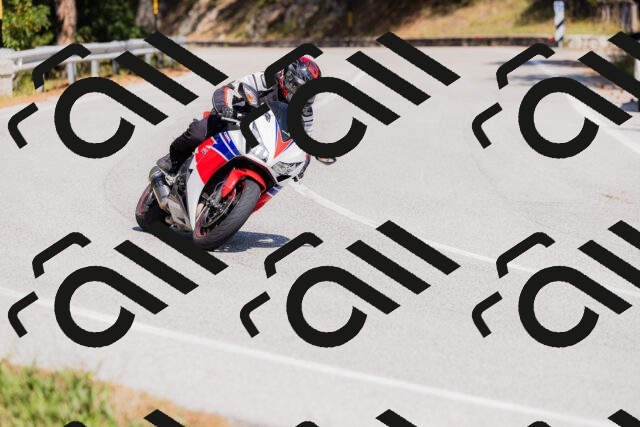 202509131402-_04A8701_c3