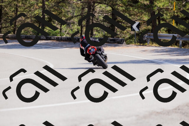 202509131402-_04A8704_c3