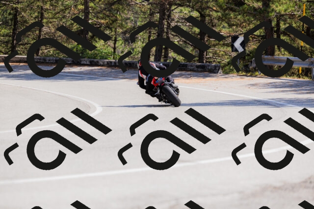 202509131402-_04A8705_c3