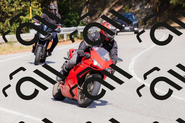 202509131403-_04A8711_c3