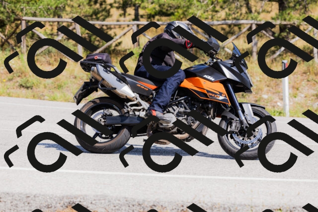 202509131403-_04A8715_c3