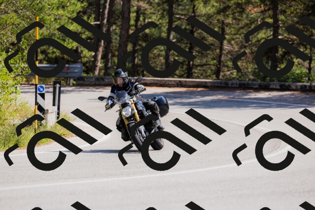 202509131403-_04A8718_c3