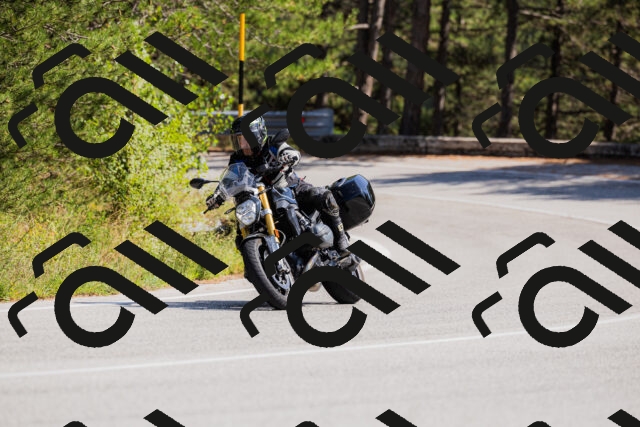 202509131403-_04A8719_c3