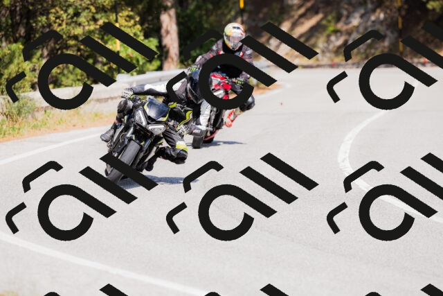 202509131404-_04A8725_c3