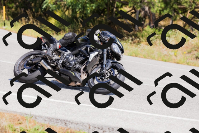 202509131404-_04A8728_c3