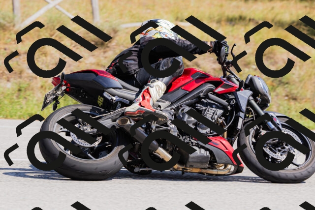 202509131404-_04A8730_c3