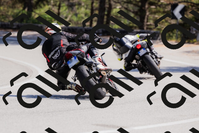 202509131404-_04A8731_c3