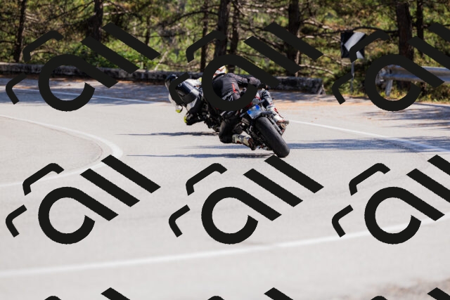 202509131404-_04A8733_c3