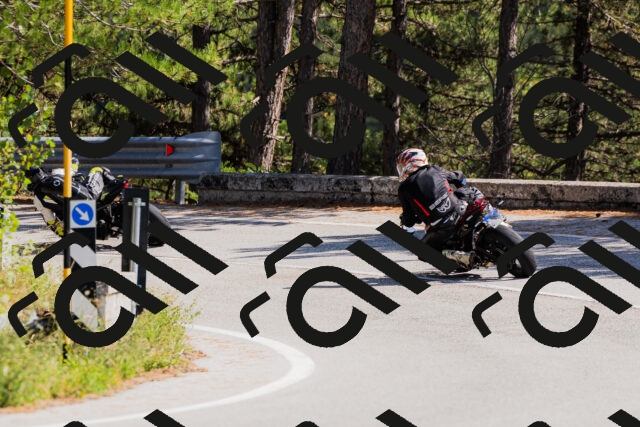 202509131404-_04A8737_c3