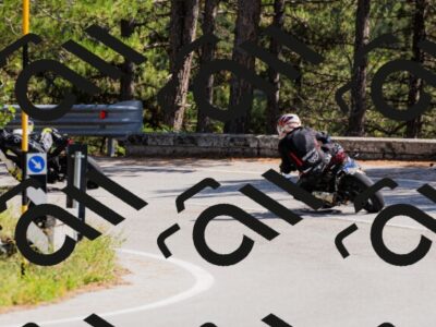 202509131404-_04A8737_c3