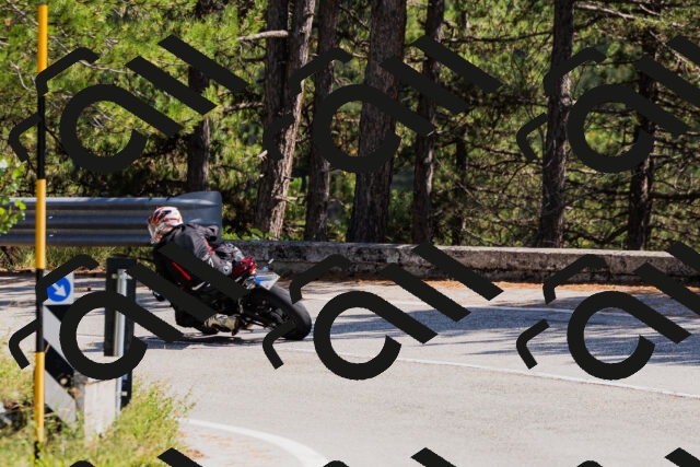 202509131404-_04A8738_c3