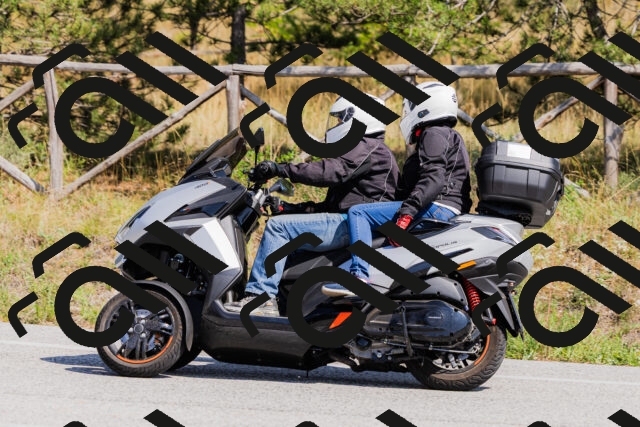 202509131405-_04A8741_c3