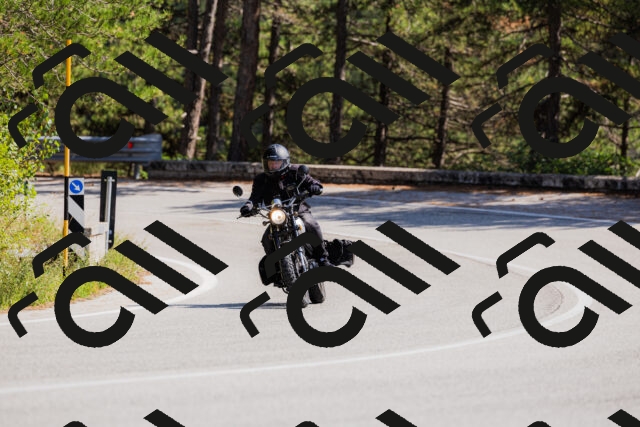 202509131405-_04A8742_c3