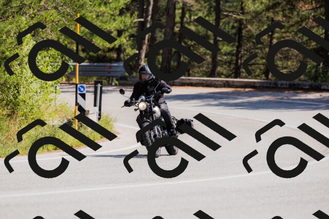 202509131405-_04A8743_c3