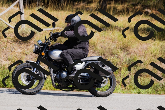 202509131405-_04A8748_c3