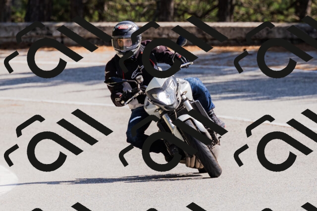 202509131407-_04A8750_c3