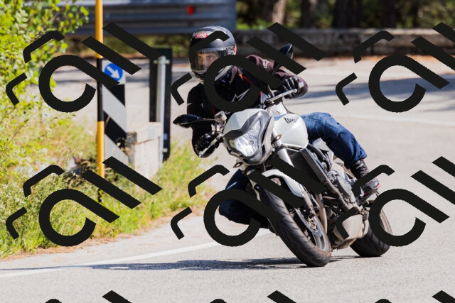 202509131407-_04A8752_c3