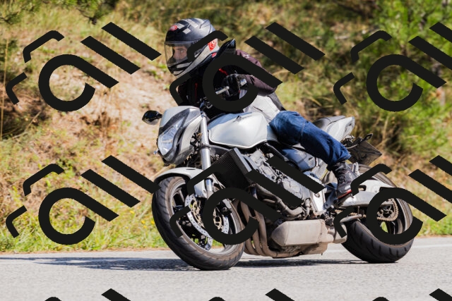 202509131407-_04A8754_c3