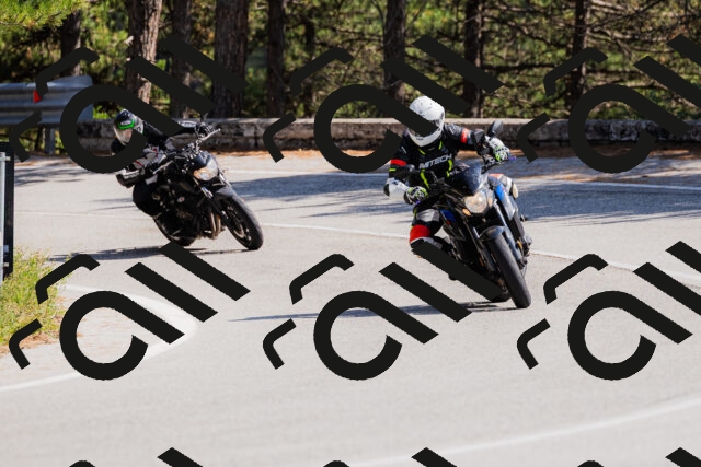 202509131409-_04A8756_c3