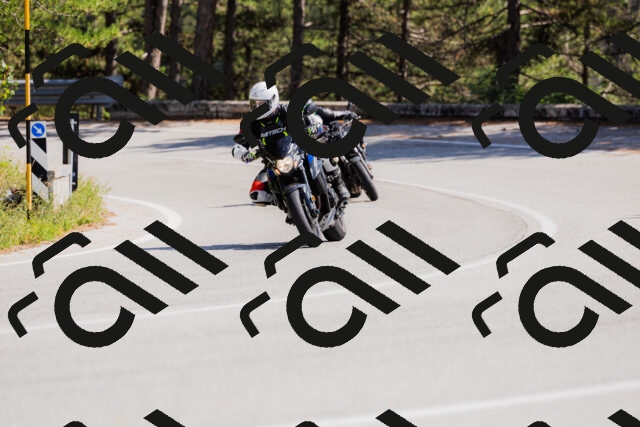 202509131409-_04A8758_c3