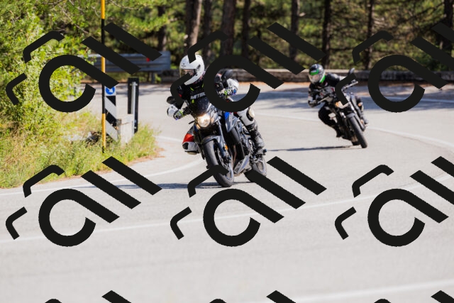 202509131409-_04A8759_c3