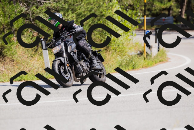 202509131409-_04A8761_c3