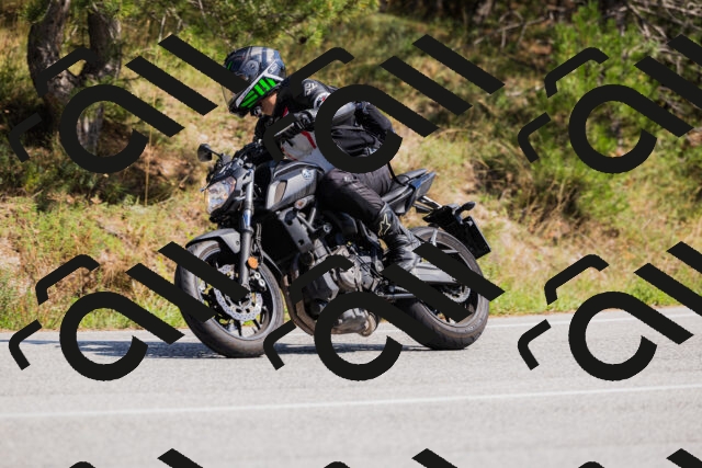 202509131409-_04A8762_c3