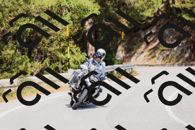 202509131409-_04A8764_c3