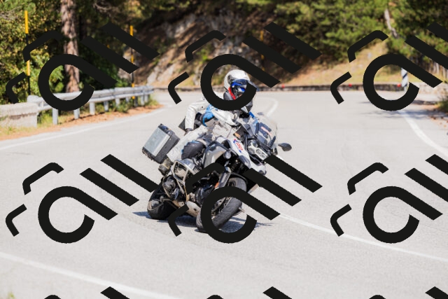 202509131409-_04A8765_c3