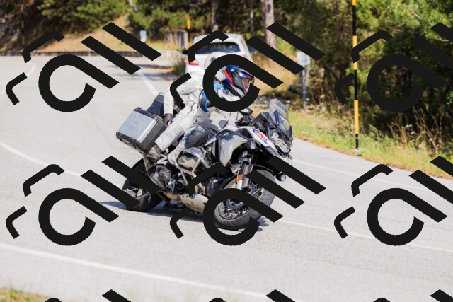 202509131409-_04A8766_c3