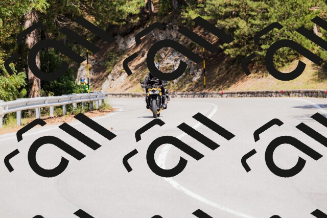 202509131412-_04A8773_c3