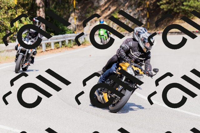 202509131412-_04A8776_c3