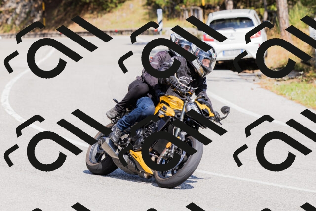 202509131412-_04A8777_c3