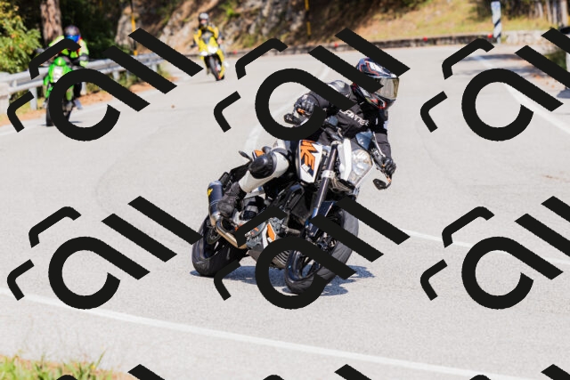 202509131412-_04A8779_c3