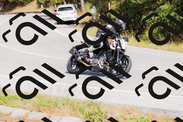 202509131412-_04A8780_c3