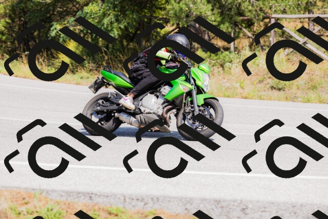 202509131412-_04A8783_c3