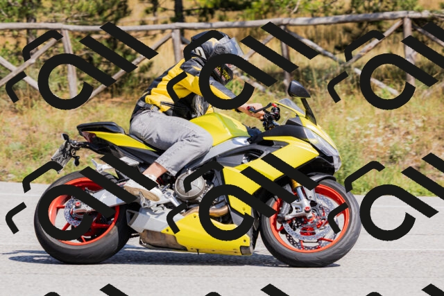 202509131412-_04A8786_c3