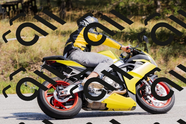 202509131412-_04A8787_c3