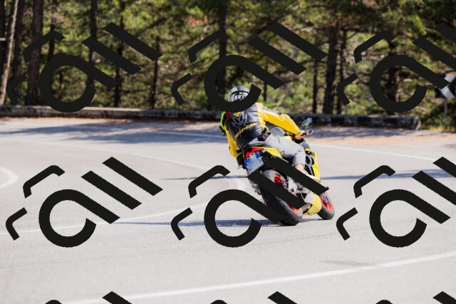 202509131412-_04A8788_c3