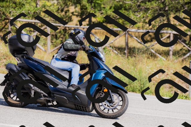 202509131412-_04A8792_c3