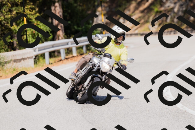 202509131413-_04A8798_c3