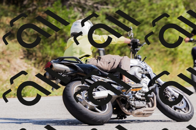 202509131413-_04A8803_c3