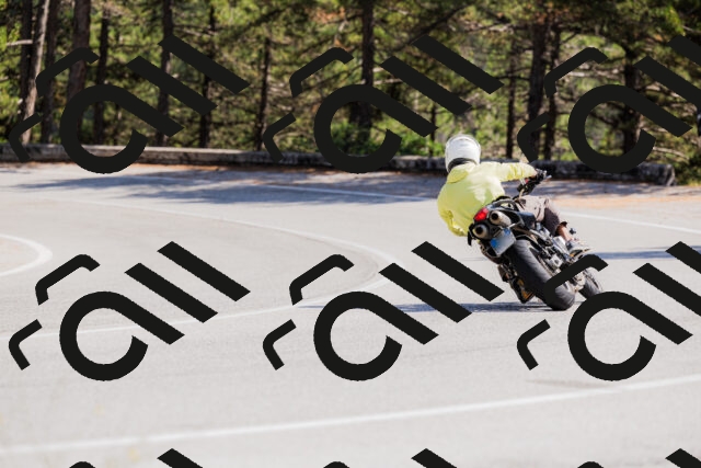 202509131413-_04A8805_c3