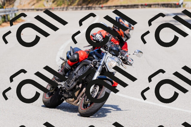 202509131414-_04A8808_c3