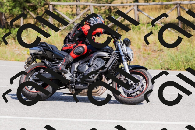 202509131414-_04A8810_c3