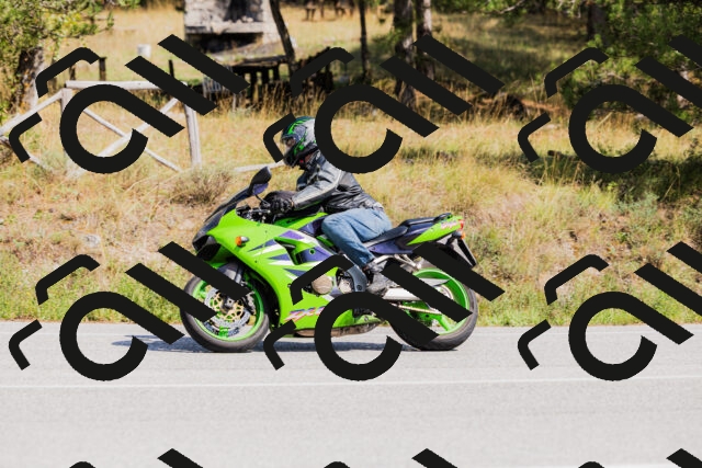 202509131414-_04A8812_c3