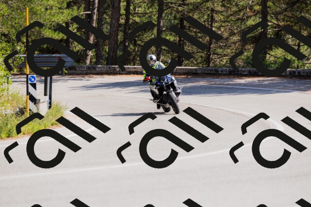 202509131415-_04A8814_c3