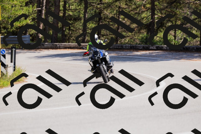 202509131415-_04A8815_c3