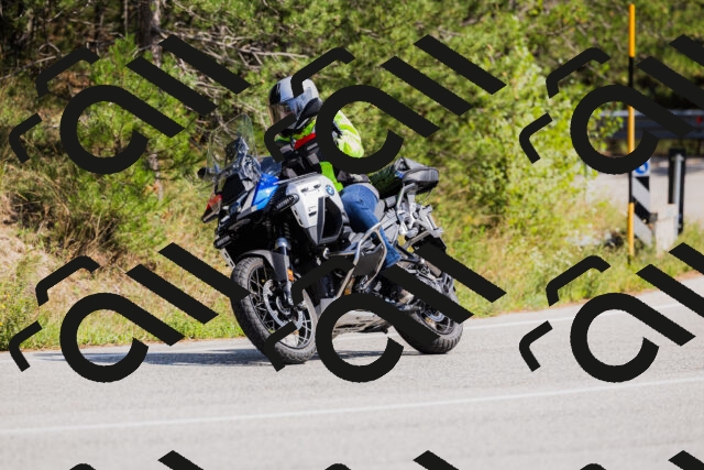 202509131415-_04A8817_c3