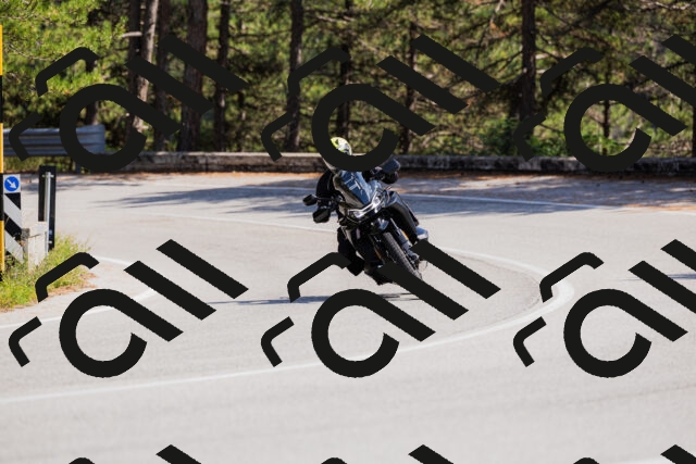 202509131416-_04A8819_c3